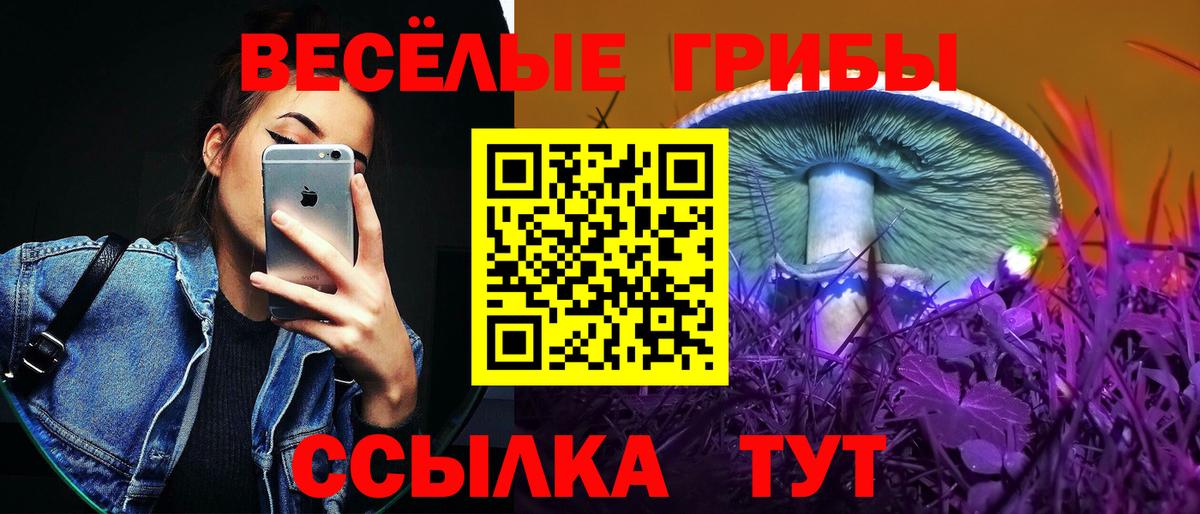 Кувандык  Галлюциногенные грибы прущие грибы  Вход с VPN  где купить наркоту  Галлюциногенные грибы мицелий 